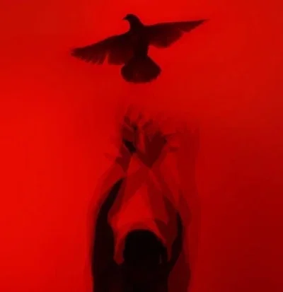 Dave Strider | A HOUSE IN NEBRASKA