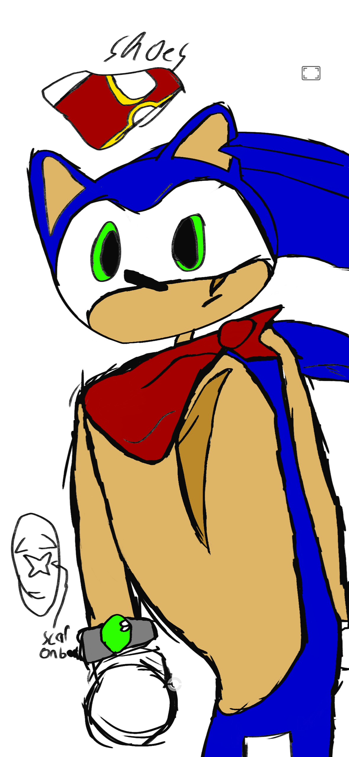 Sonic T. Hedgehog