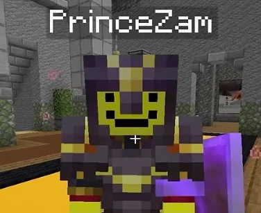 || PrinceZam - UNSTABLE SMP ||