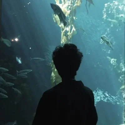 Percy Jackson