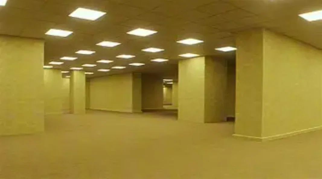 THE BACKROOMS