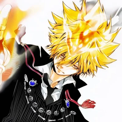 Katekyo Hitman Reborn!: RPG