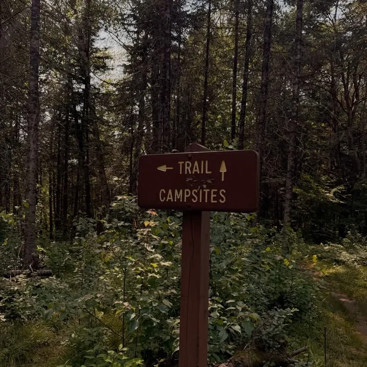 the thunderbolts | camping trip