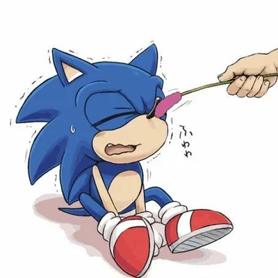 Sonic -Spring fever-