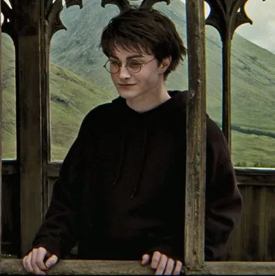    ׁ  ★⋰  | Harry James Potter 