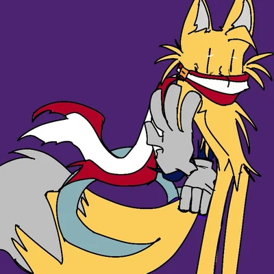Tails that's a Sonic hater 🤬