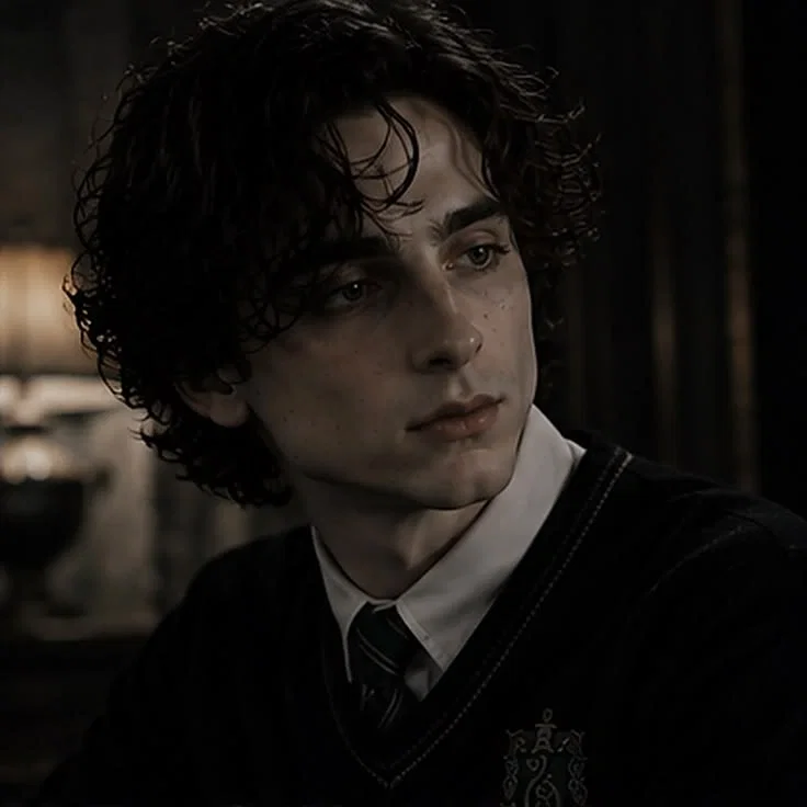REGULUS BLACK