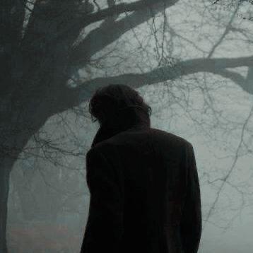 Tobias Snape