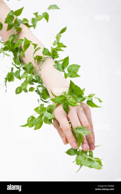 Floral Feeding