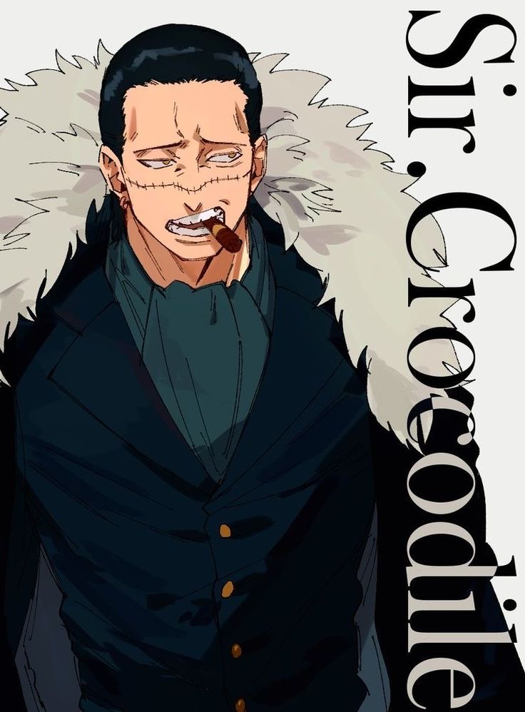Sir Crocodile 