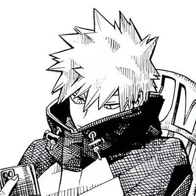 Katsuki Bakugo ⭐️