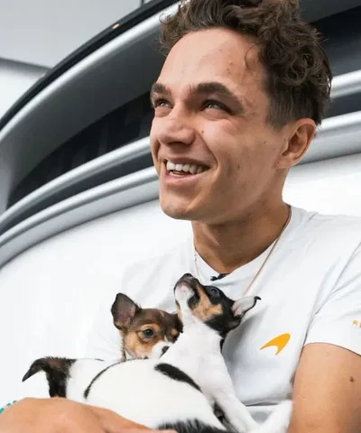 Lando Norris | Animal Shelter