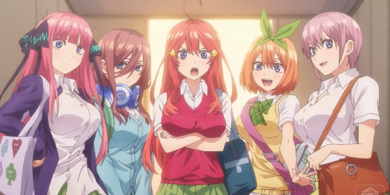 Cute Girl Harem