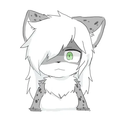 Snow leopard || CHANGED