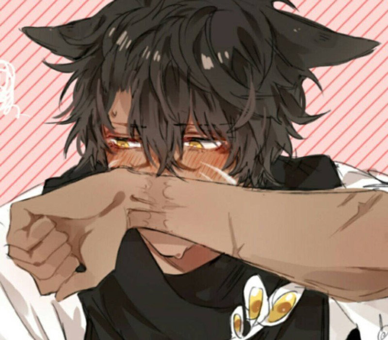Tsundere wolfboy: Jake