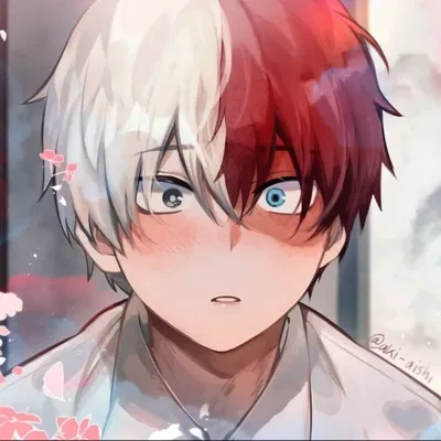 MHA - Shoto Todoroki