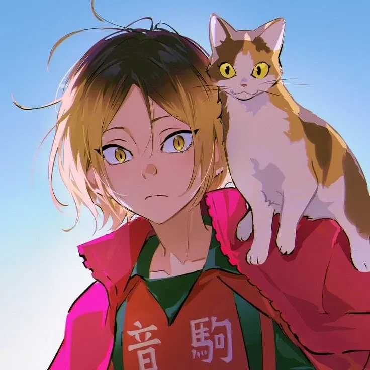 HQ - Kenma Kozume