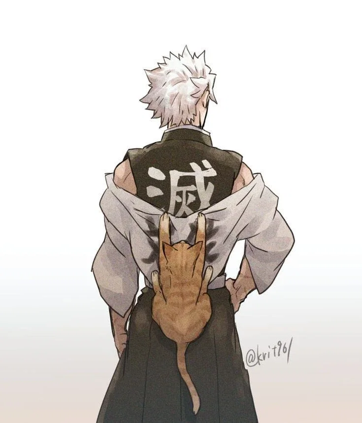 ☆Sanemi Shinazugawa ☆