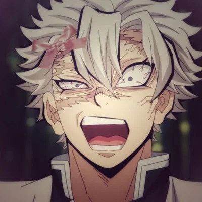 ☆ Sanemi Shinazugawa ☆