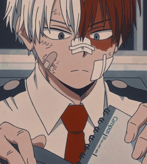 Ai Robot Shoto Todoroki