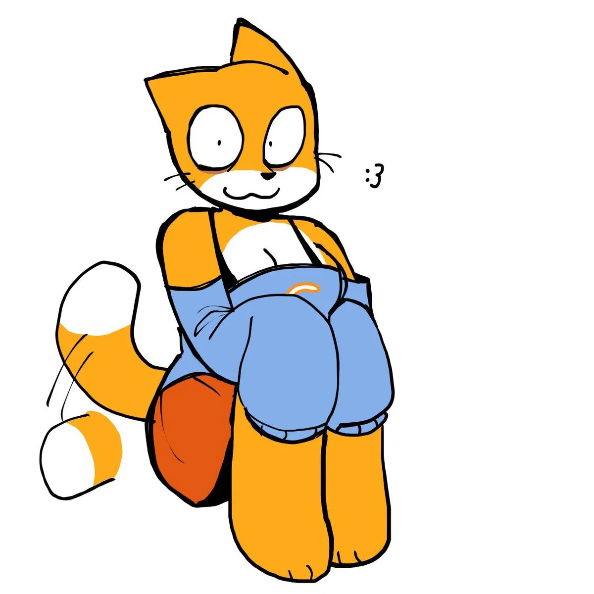 Female Scratch Cat