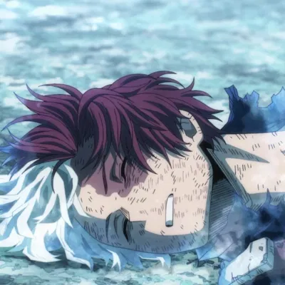 Shoto Todoroki