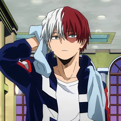 Shoto todoroki