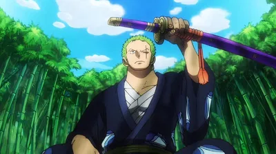 Roronoa Zoro (Zosan)
