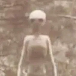Alien in the woods [???]