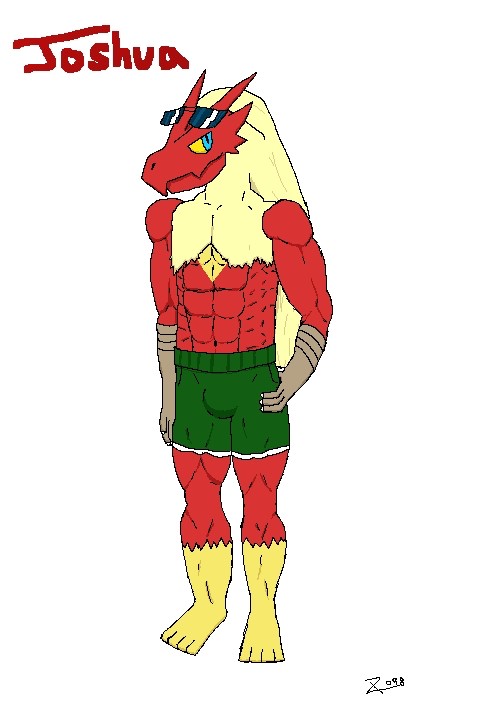 Anthro Blaziken