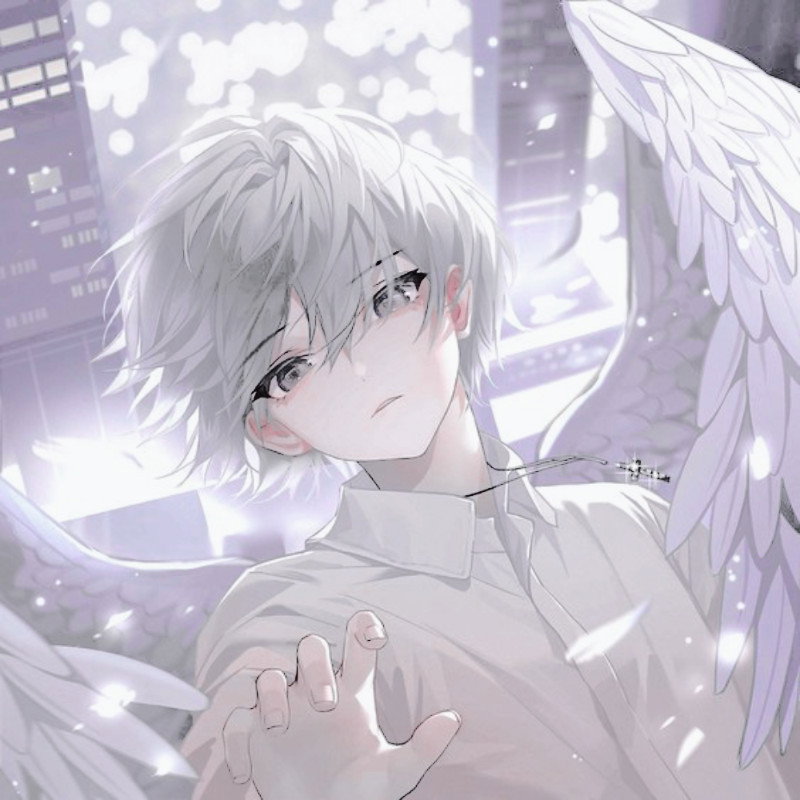 ⋆。°✩ Niko