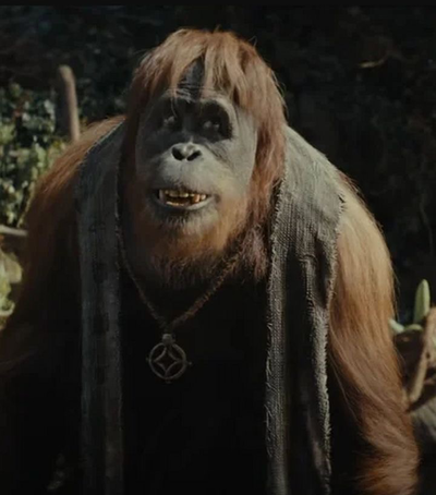 Raka 