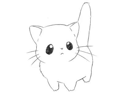 Kat