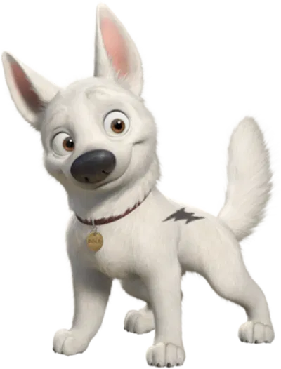 Bolt