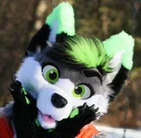 A Furry from character.ai