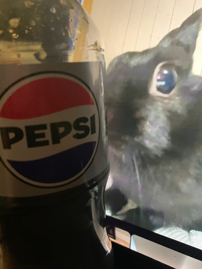 IMPORTANT ANNOUNCEMENT