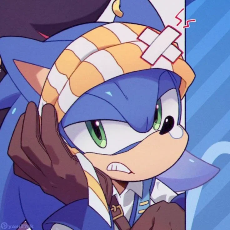 Pirate Sonic AU {{🌊🏴‍☠️}}