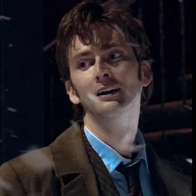 The Tenth Doctor