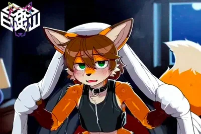   fox boy