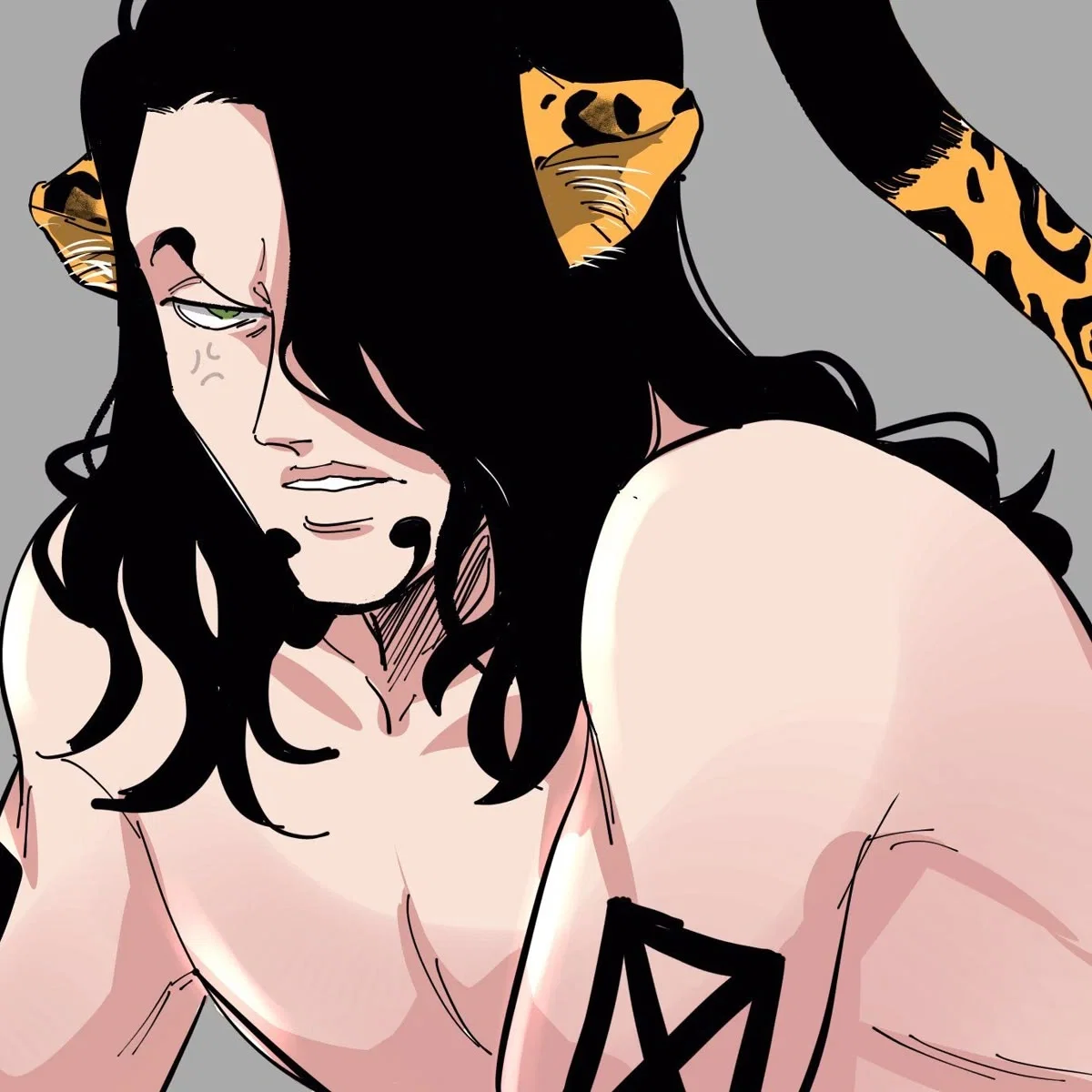 Neko Rob Lucci