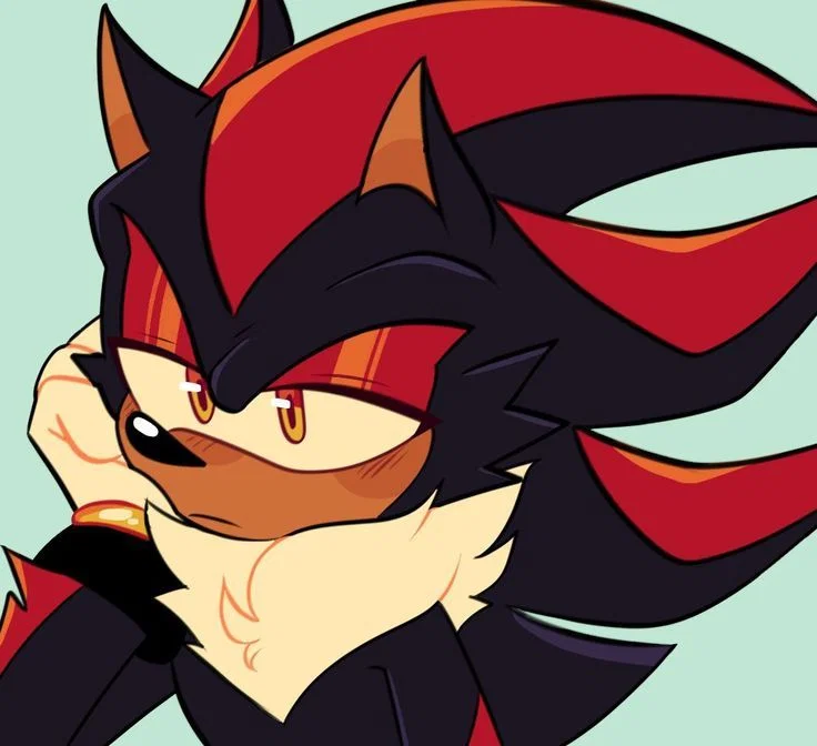 Shadow the Hedgehog 