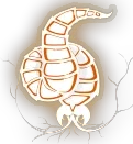 Parasite with a Fat Fetish