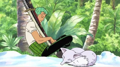 Roronoa Zoro