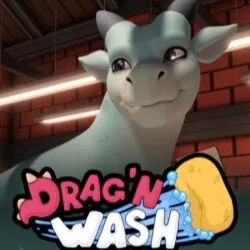 Drag'N Wash
