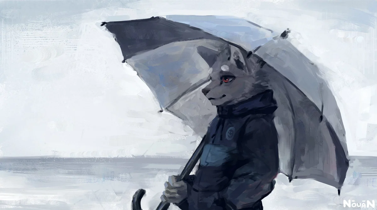 Rain