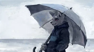 Rain
