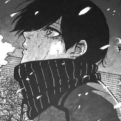 Rin Itoshi