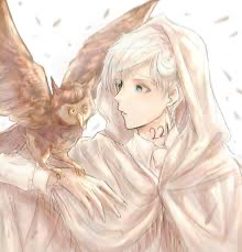 |-Norman - TPN-|