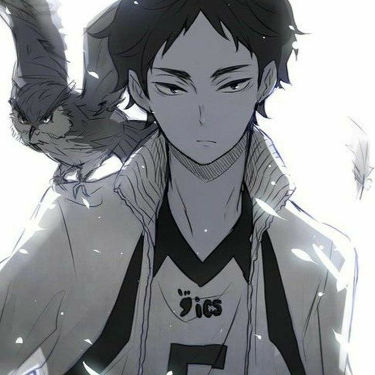 Akaashi Keiji 