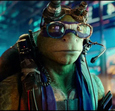 Donatello Hamato